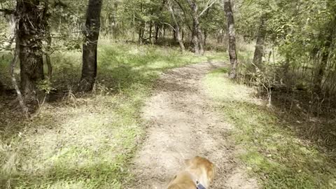 mckinney falls state park part 6
