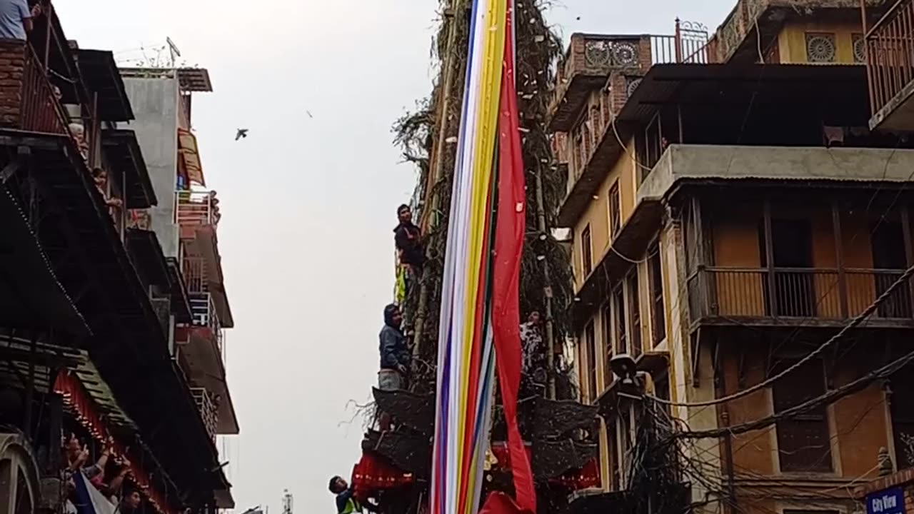 Rato Machhindranath Jatra