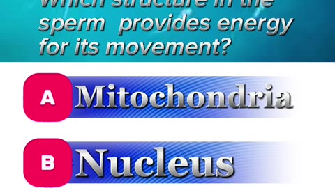 Sperm motility question answer mcqs #sperms #anatomy #motilityissues #3dmedico #fertility