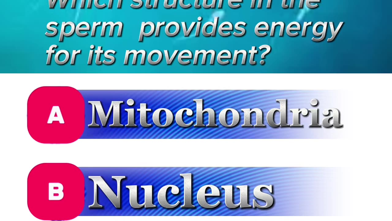 Sperm motility question answer mcqs #sperms #anatomy #motilityissues #3dmedico #fertility