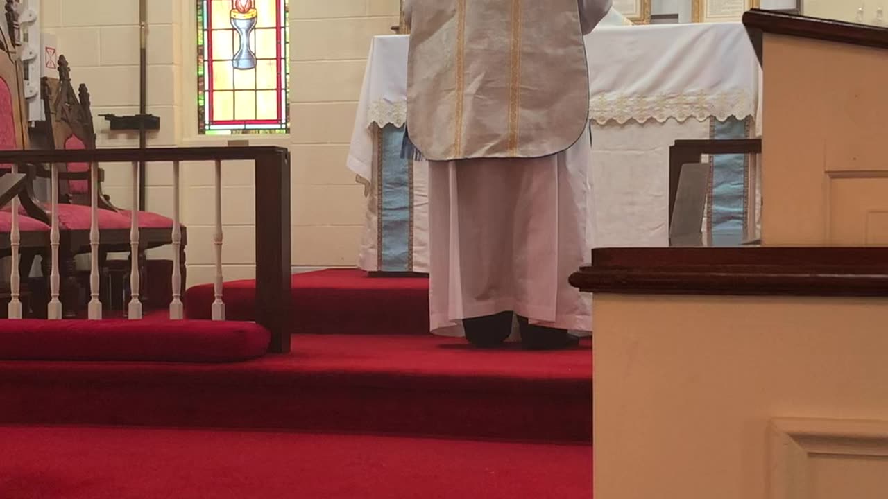 Fr. Crowder’s Sermon from the Visitation of the Blessed Virgin Mary