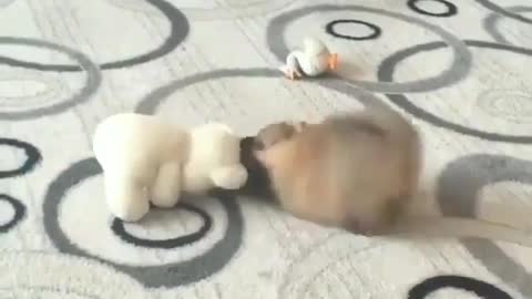Brother, why don't you move