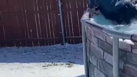 If you laugh you restart at the end 😂😂😂 #viral #shorts #reels #funny #fails