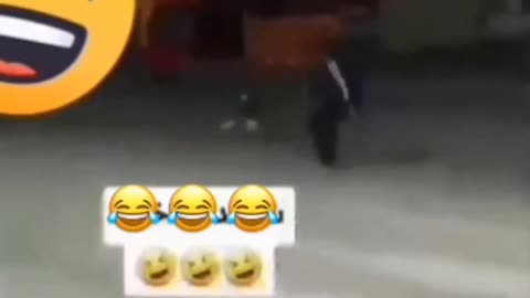 Funny Animal Videos