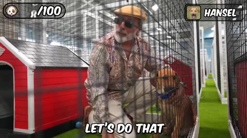 Mr beast help people to adopt dog