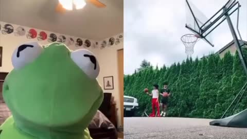 Funny Kermit Tik Tok Videos