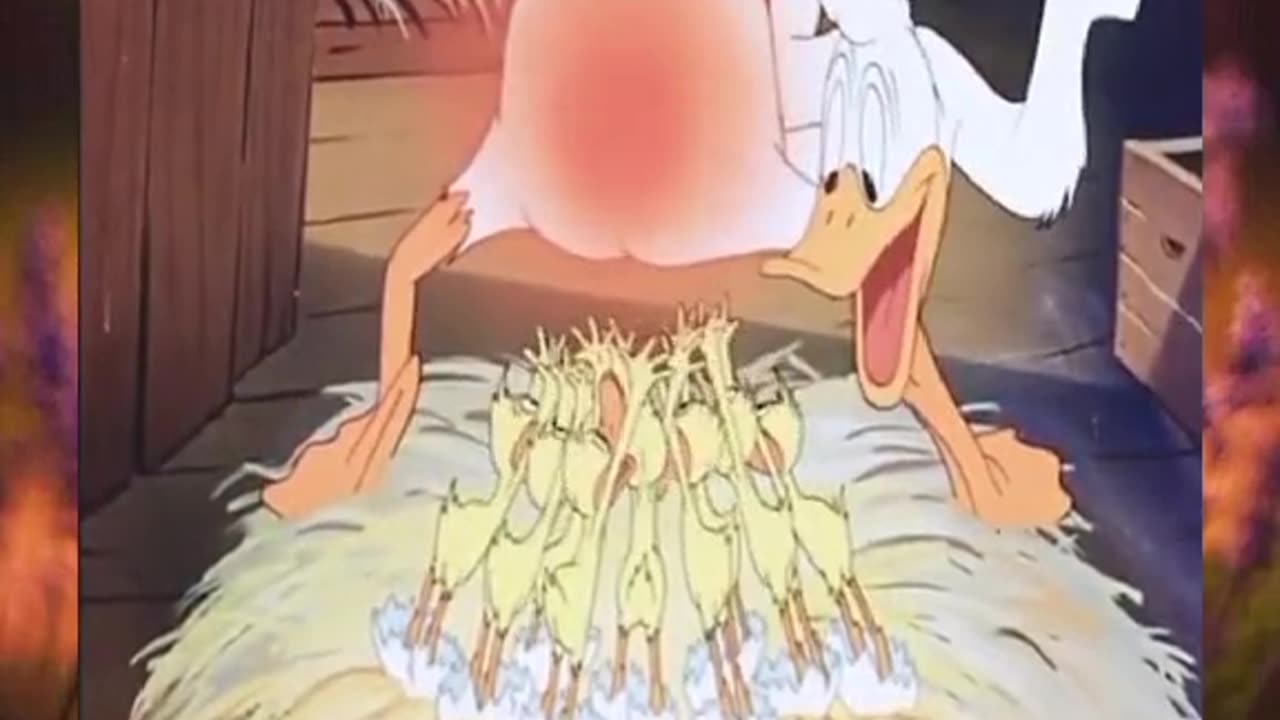 Duck 🦆 baby