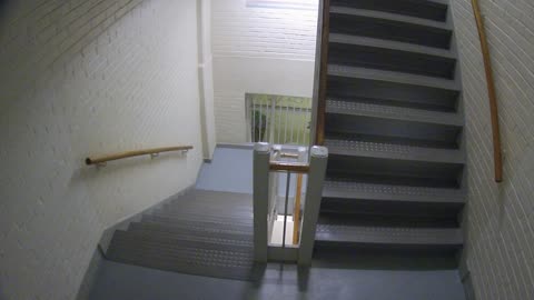 3883FHOB03Stair7_2021-01-05_04h01min36s487ms.mp4