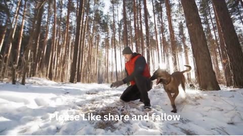 Cute 10 Dogs and Puppy Mood, Happy Ambient Music Ambience - Upbeat.