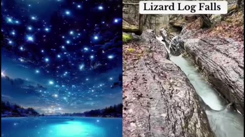 Lizard falls