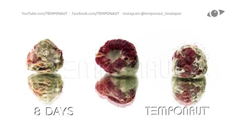 Rotting Raspberries