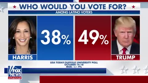 'LAND OF EXPLOITATION'_ CEO issues stark warning on possible Harris presidency