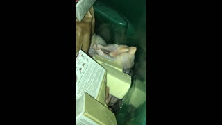 So much food found in dumpster
