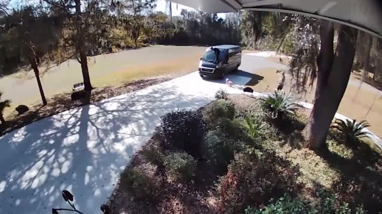 How did this car get up there?