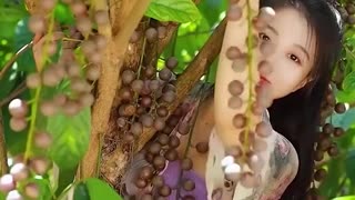 Enjoy Beautiful Nature With Rural Life,