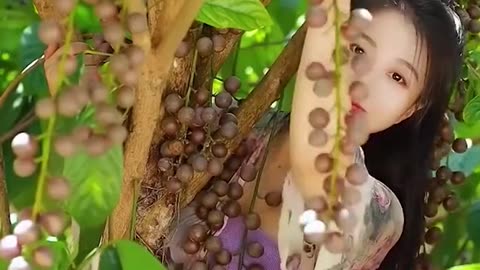 Enjoy Beautiful Nature With Rural Life,