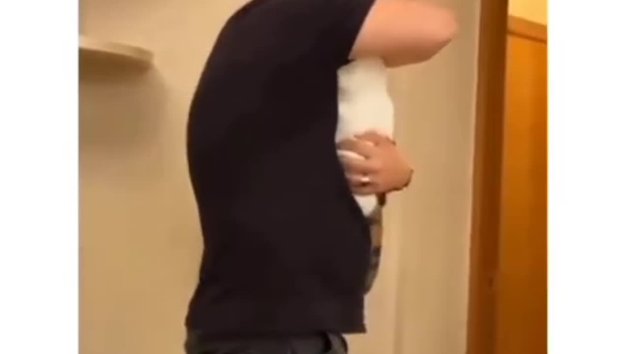 Cute angry cat with dady