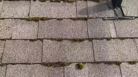 Removing Moss From Crevices Of A Roof _ Deep Cleaned _ Insider