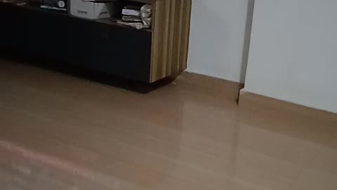 Big tv
