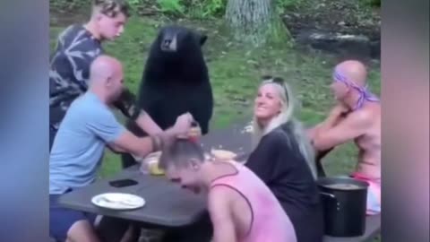 Friendly bear joined their camping