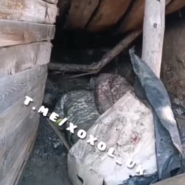 Dead crests in a pigsty. They died for the victory of Zalupensky