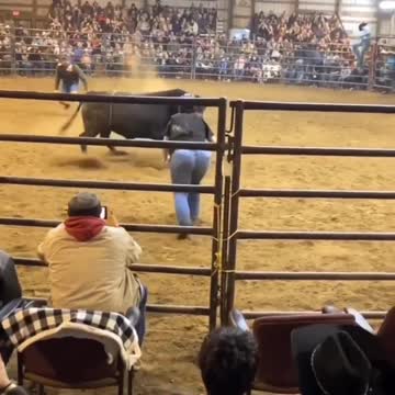 Fat American stupid tiktok