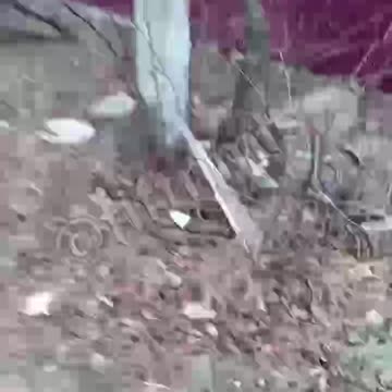 WARNING! Destroyed YPR-765 with Ukrainian Militants