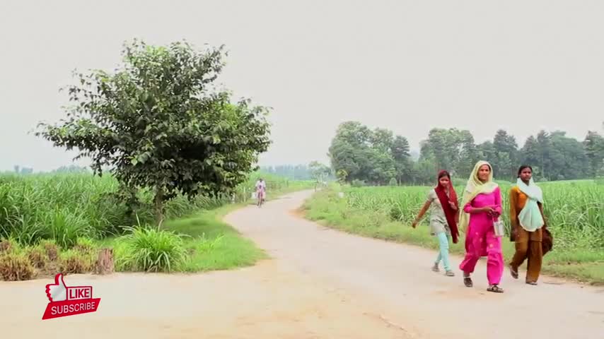 Desi village morning with sad flute II desi village styles