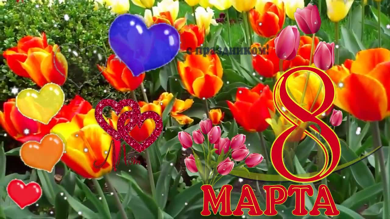 THE MOST BEAUTIFUL FOOTAGE ON MARCH 8. Happy Women's Day on March 8th. flowers