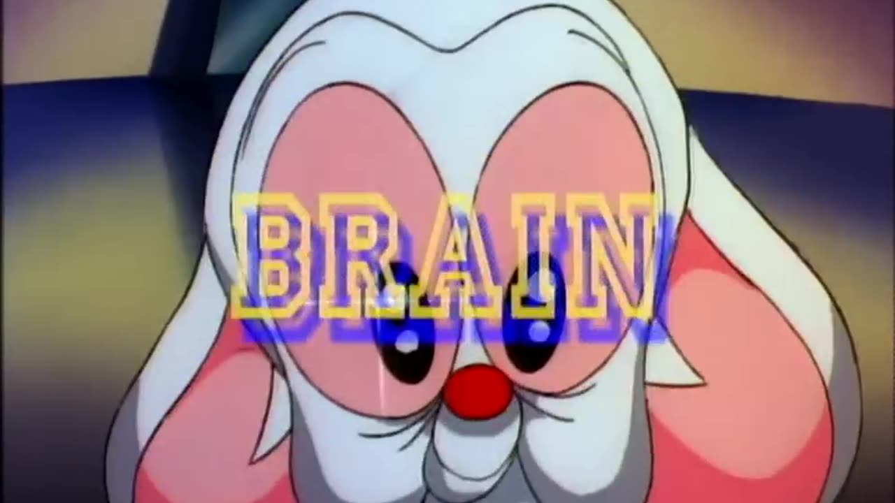 Pinky and The Brain Intro - Remind you of Anyone WEF PLANS OF INSANITY? By Stephen Speilberg!