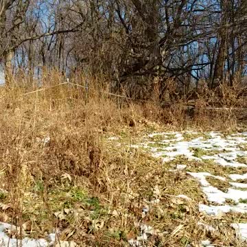 Psalm 32 Revised Standard (let the godly offer prayer)