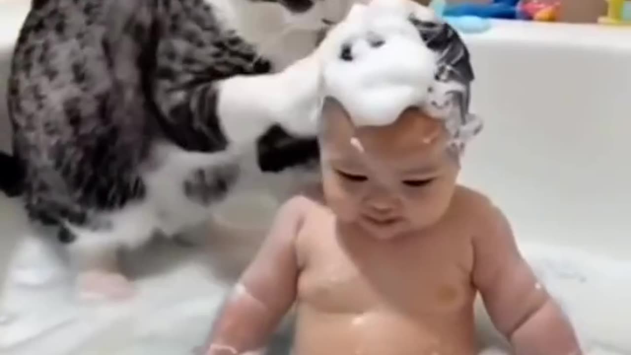 The cat 🐈 make baby shower with soap