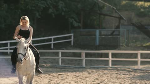 Horse Riding On the Training Ground