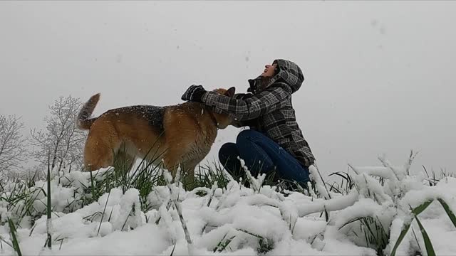 In A snowy day