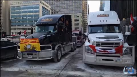 February 1st: Freedom Convoy Ottawa
