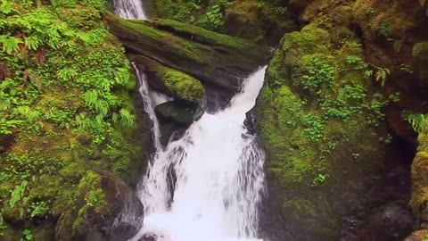 Water Fall In Forest