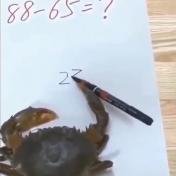 crabs do math