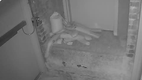 7243CVCULCVC120EMoatFireDoor_2021-01-05_00h00min01s950ms.mp4
