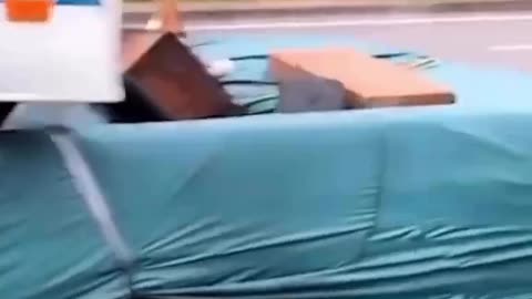 What in the WORLD????