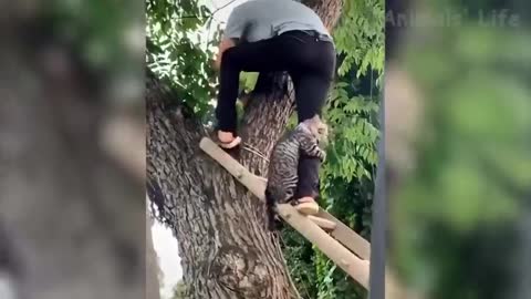 Funny Cute Animals