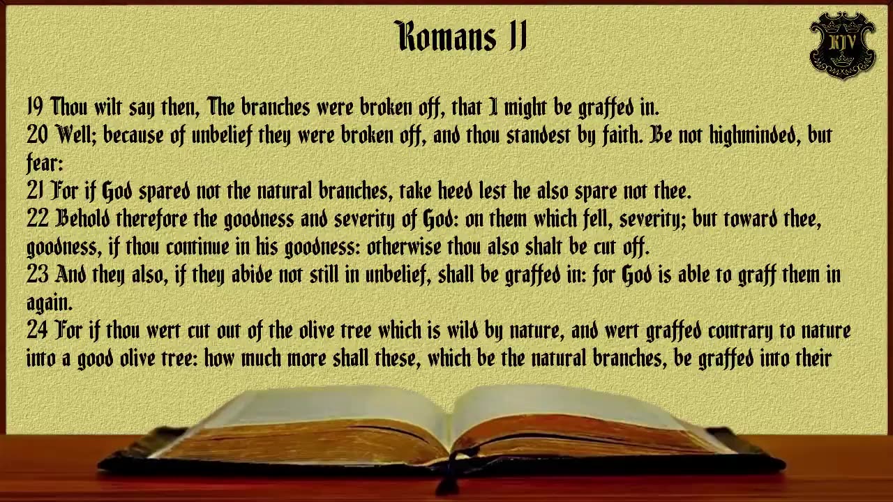 (45) - Romans (KJV) Dramatized With Words