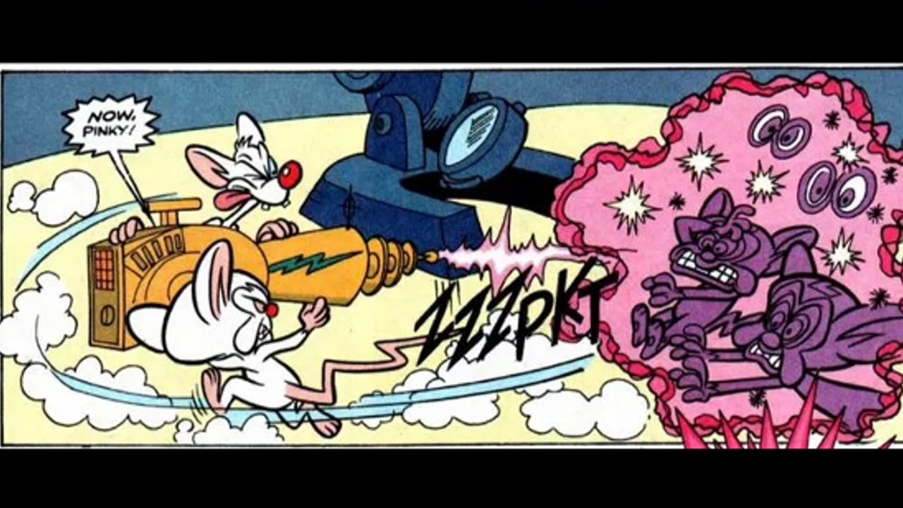 Newbie's Perspective Animaniacs Issues 11-12 & 16 Reviews