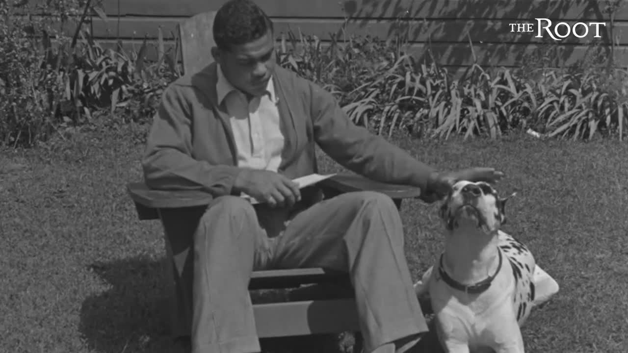 The Complex Relationship Between Black People and Pets