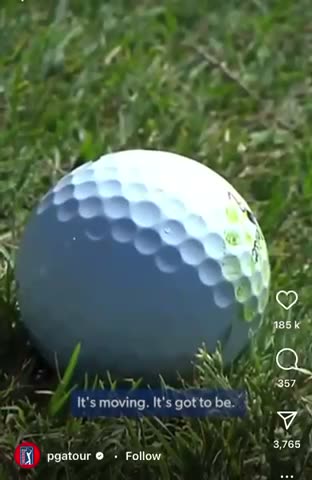 Do You Still Believe Sports Are Legitimate?