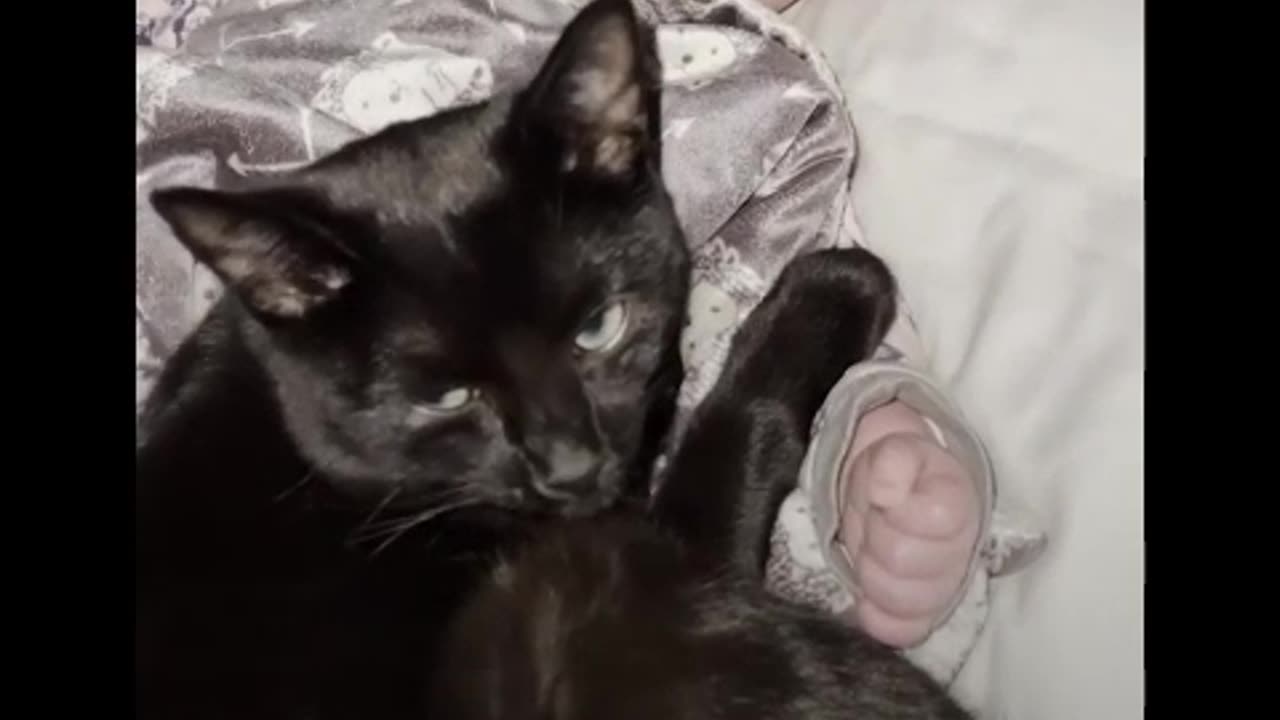 Kitten gets caught on baby cam sneaking into her sister's crib for a snuggle ❤️