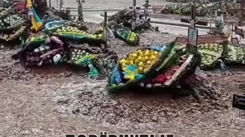 Ukraine Flags Over Graves