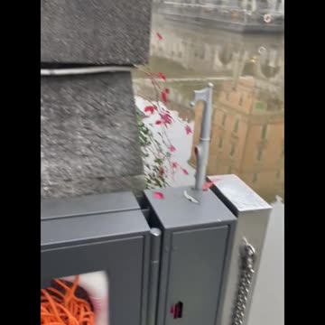 Freedom Cash Geocaching Paper Wallet - Fun