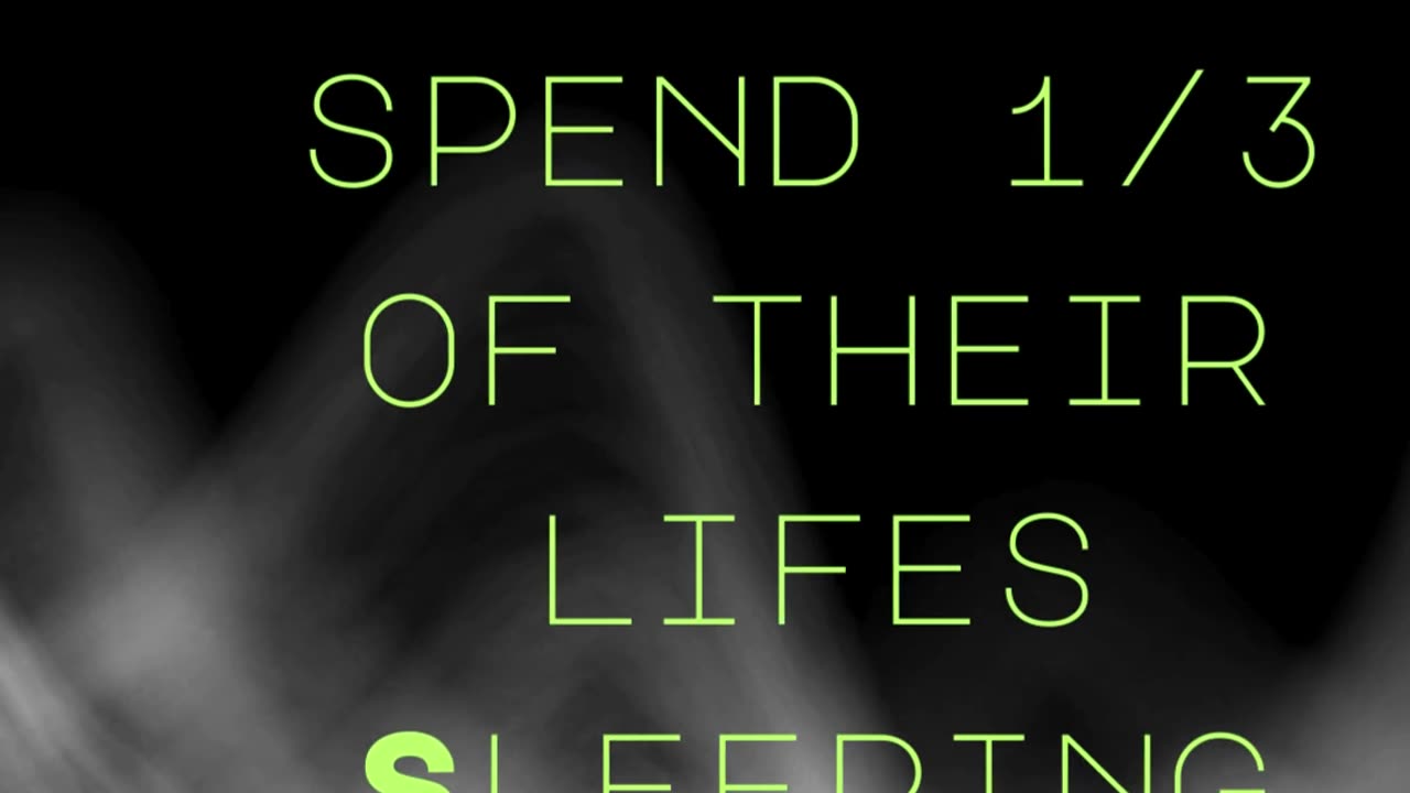 Sultan Of Sleeps Sleep Fact
