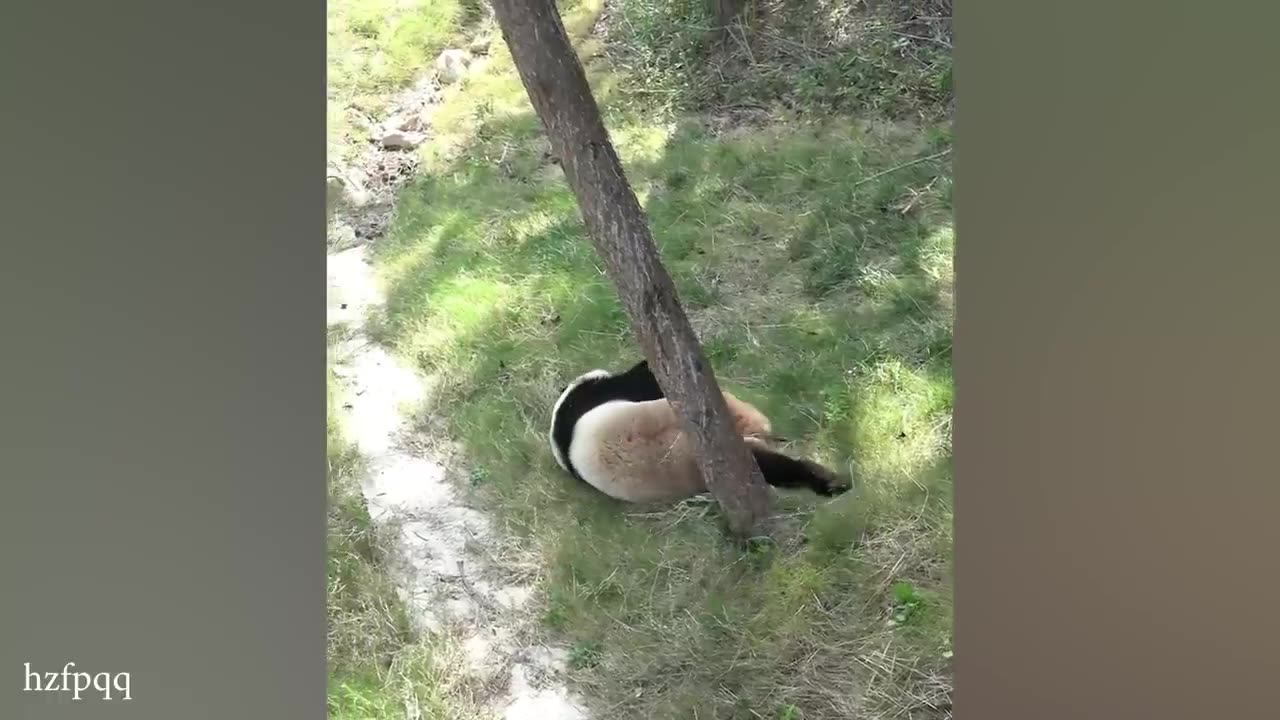 THIS will make you LAUGH!!