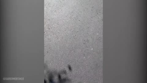 Prank FLOATS through the store